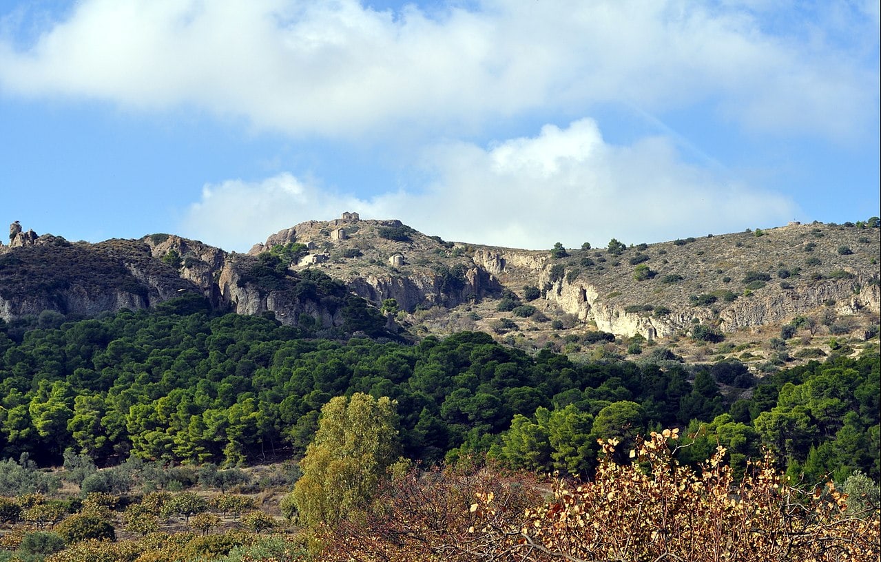 Hill area. Палеохора.