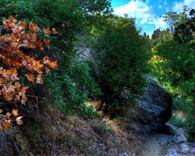 On they way to Peleopolis - Andros Island