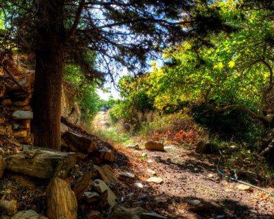 On they way to Peleopolis - Andros Island