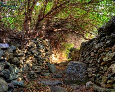 On the way to Peleopolis - Andros Island