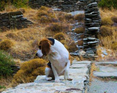 Dipotamata Gorge - Hiking the path - Andros Island