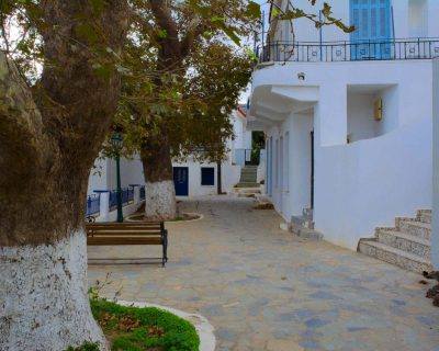 Stenies Village - Andros Island