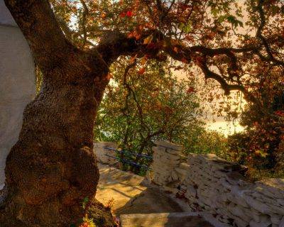 View from near Zaganiaris Village - Andros Island