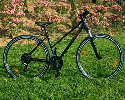 specialized ariel women's bike