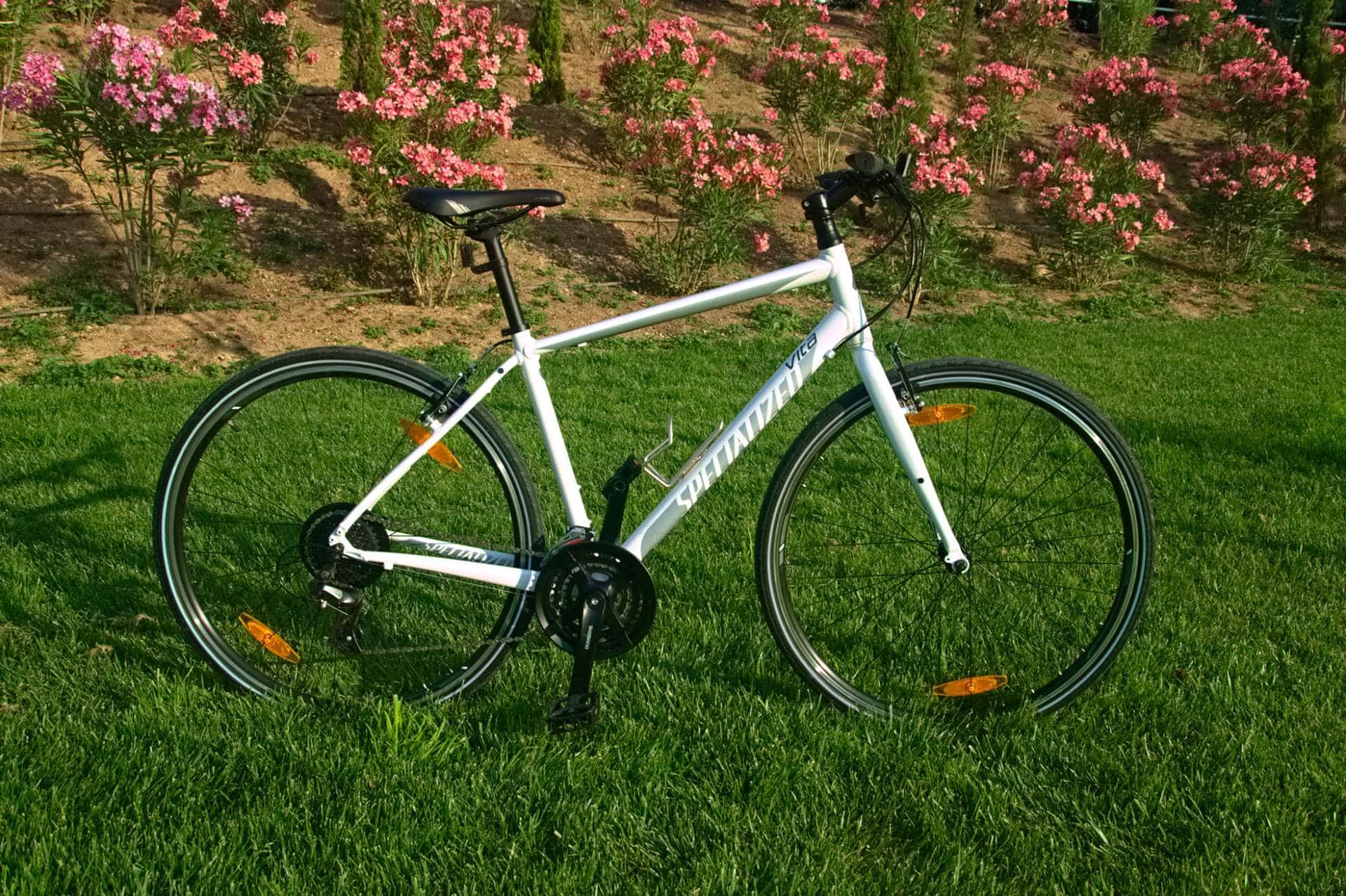 specialized vita 2016