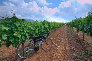 Cycling Peloponnese - Nemea bike wine tours - Gr Cycling